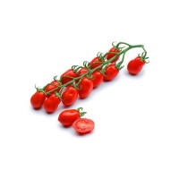 pomodori  datterini  CAT I prov ITALIA  prezzo AL kg 