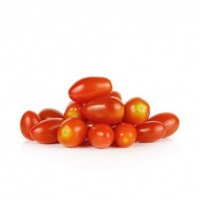 pomodori  datterini  CAT I prov ITALIA  prezzo AL kg 