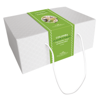 COLOMBA MASTRANGELO AL PISTACCHIO  (con barattolino)
